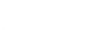Leo Network